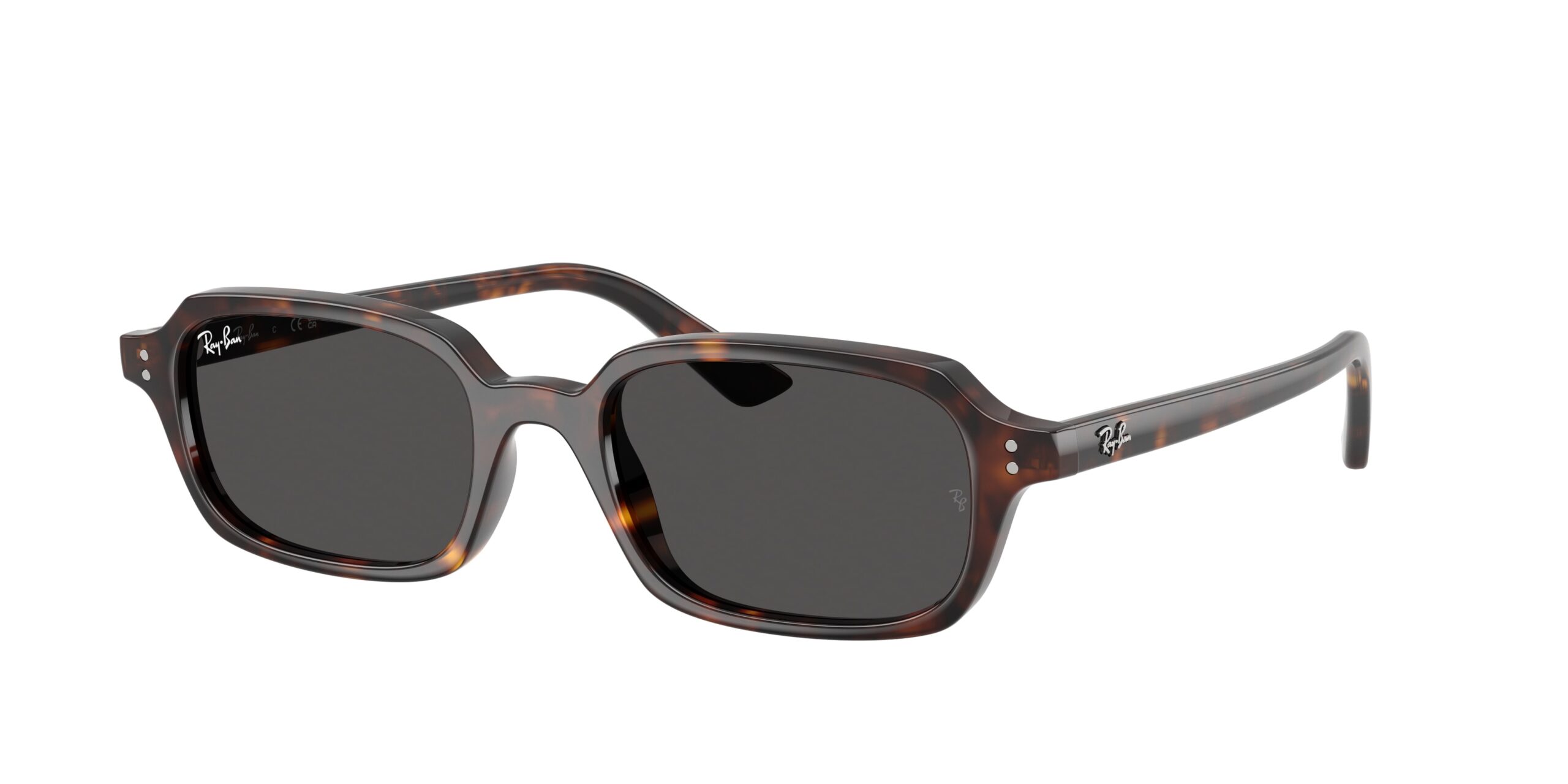 Ray-Ban 4455 - immagine 2