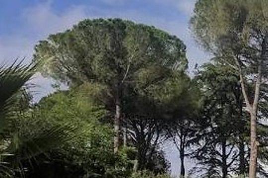 Il bioparco del Village di Guidonia
