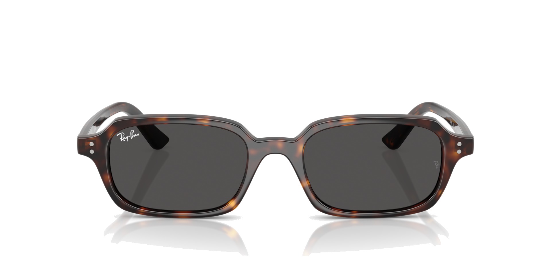 Ray-Ban 4455