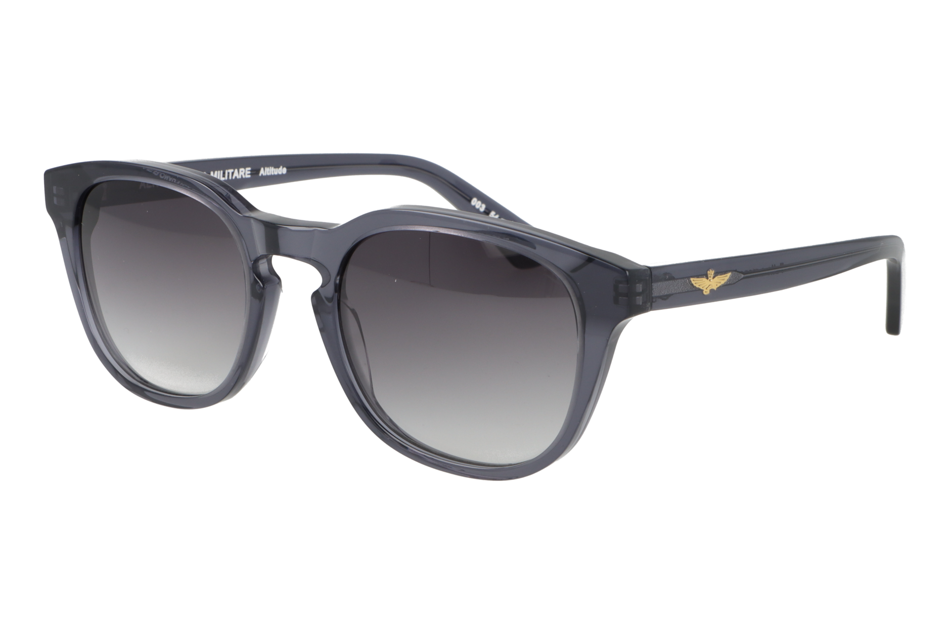 Aeronautica Militare Altitude - immagine 2
