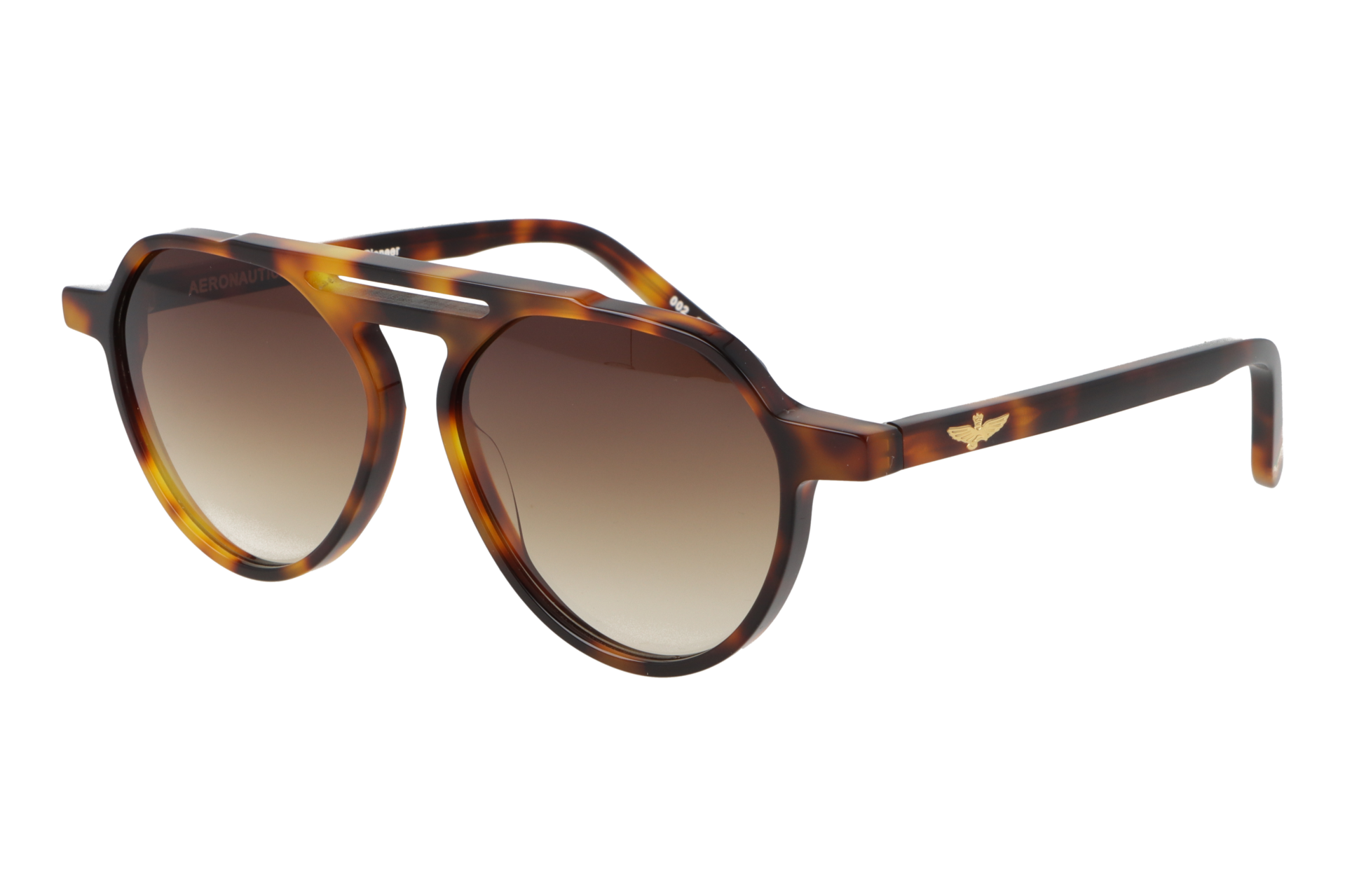 Aeronautica Militare Pioneer - immagine 2
