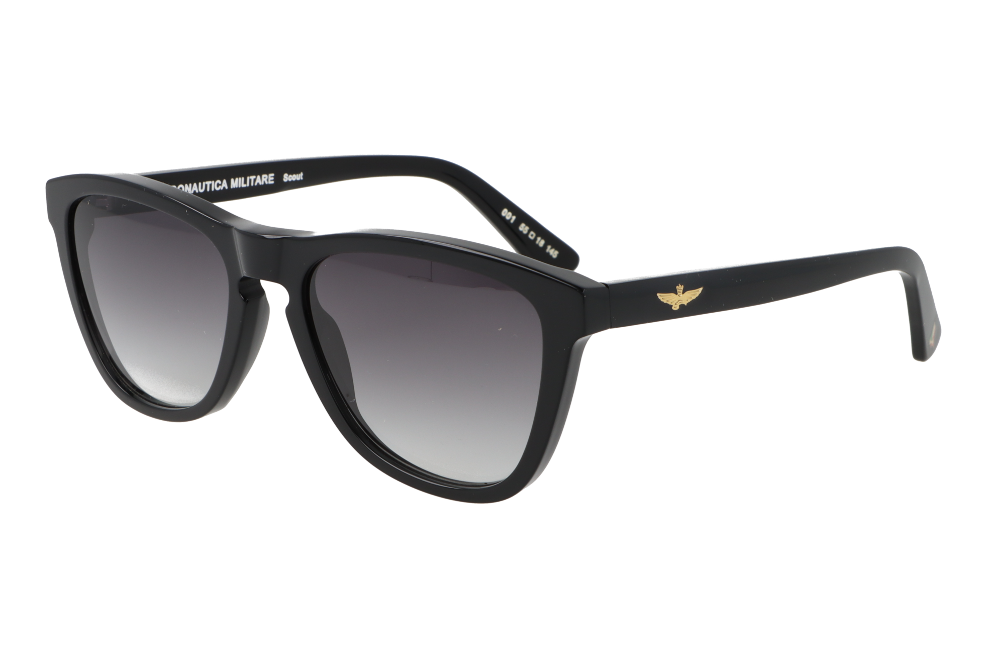 Aeronautica Militare Scout - immagine 2