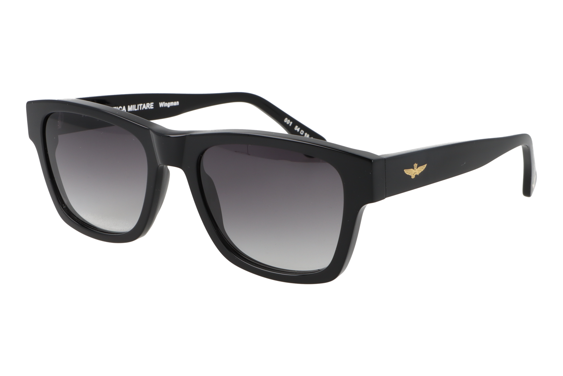 Aeronautica Militare Wingman - immagine 2